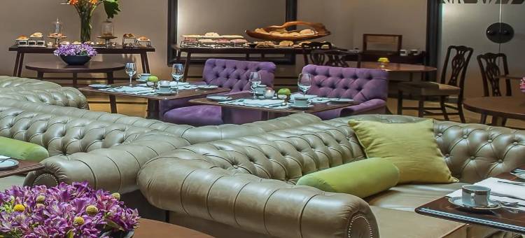 美憬阁索菲特布宜诺斯艾利斯布里克酒店(Sofitel Buenos Aires Recoleta)图片