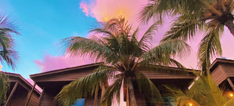 米赫的椰子小木屋(Coconut by ÓOL Hotels)图片