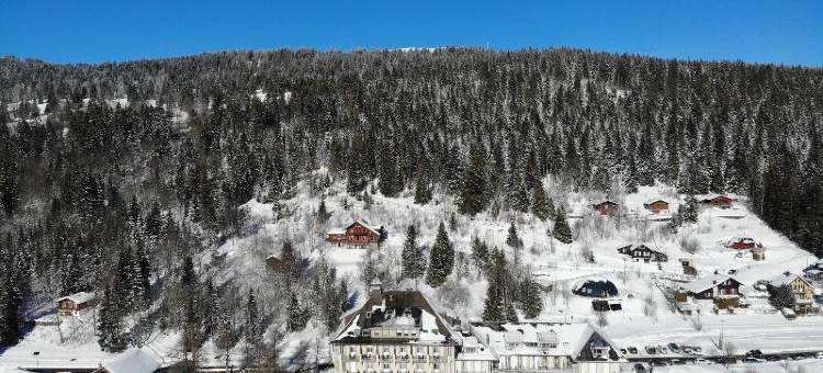 拉塞斯大酒店及健康中心(Grand Hôtel des Rasses & Wellness)图片