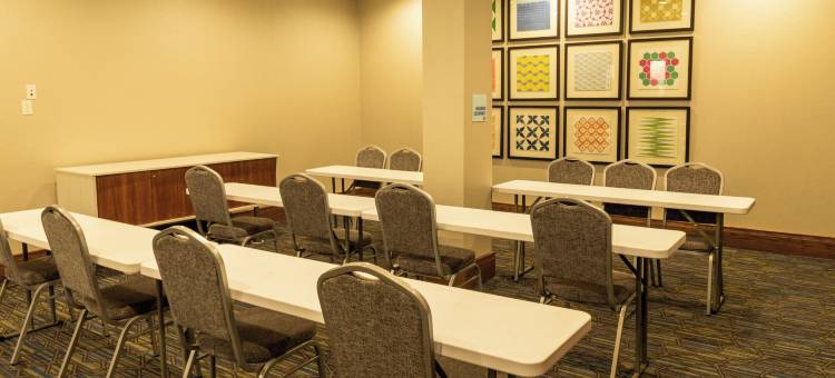 大岛 - 尼亚加拉瀑布智选假日酒店(Holiday Inn Express Grand Island - Niagara Falls)图片