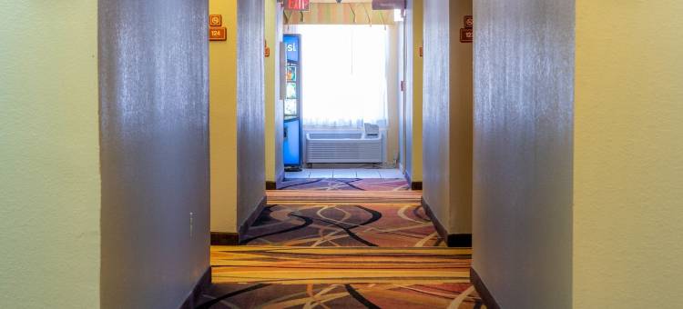 海恩斯维尔呗盟套房酒店-斯图尔特堡地区(Baymont by Wyndham Hinesville Fort Stewart Area)图片