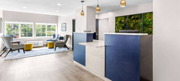 贝斯特韦斯特布法罗酒店及套房(Eva Hotel, BW Signature Collection)图片