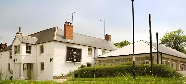 普卢姆菲泽斯住宿加早餐旅馆(The Plume of Feathers)图片