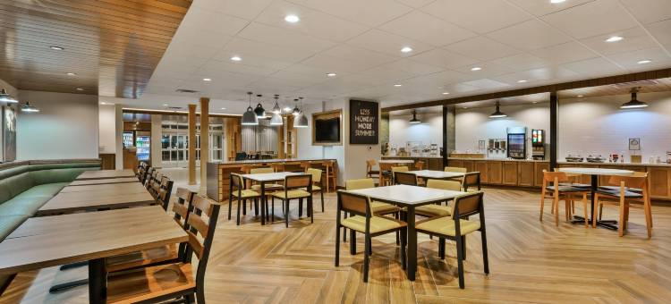 卡拉马祖万豪万枫套房酒店(Fairfield Inn & Suites Kalamazoo)图片