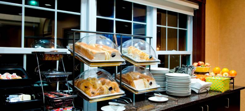 密西沙加机场企业中心西区居家旅馆(Residence Inn Mississauga-Airport Corporate Centre West)图片