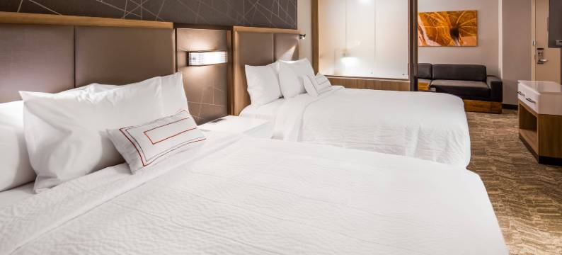 钱伯斯堡万豪SpringHill Suites酒店(SpringHill Suites Chambersburg)图片