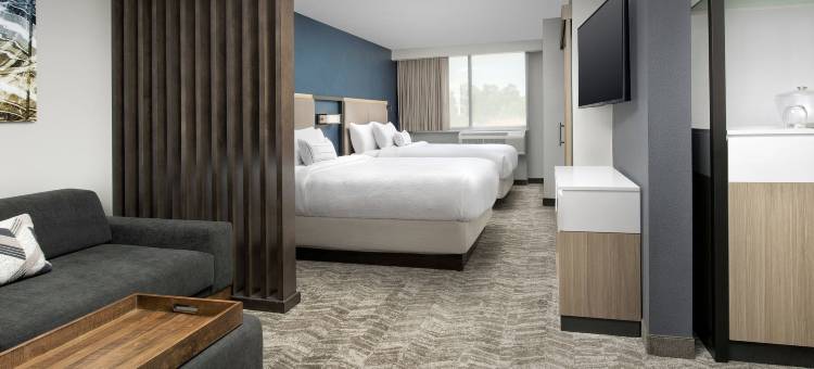 亚特兰大周界中心万豪SpringHill Suites酒店(SpringHill Suites Atlanta Perimeter Center)图片