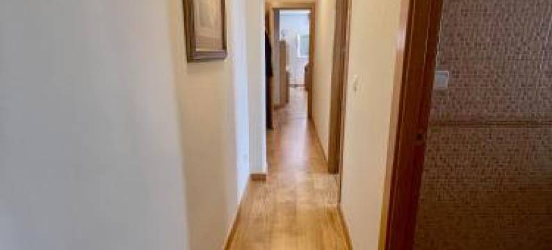 ENTRELASVIÑAS图片