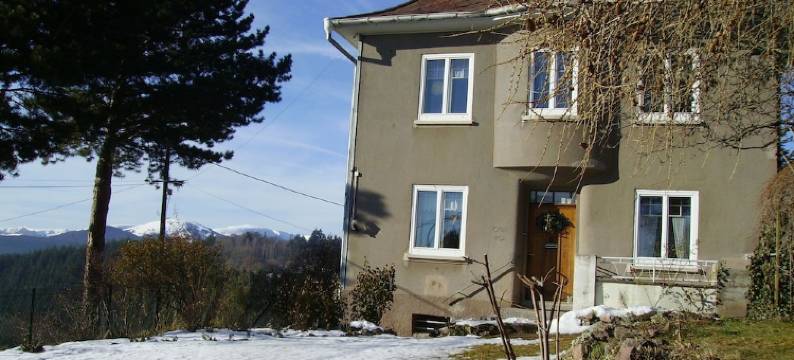 Lovely furnished apartment in a massive Vosges house图片