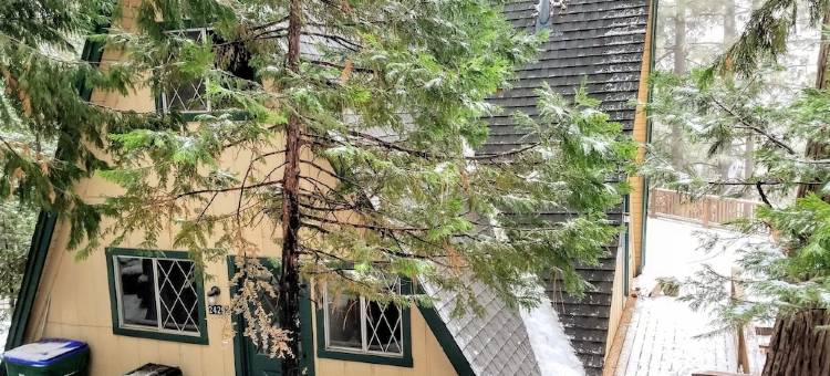 Private cabin in a small mountain town surrounded by pine trees. Snow getaway图片