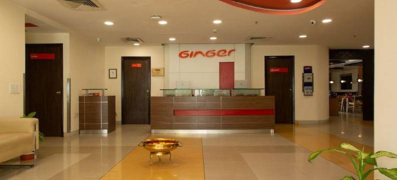 金吉尔瓦皮酒店(Ginger Vapi)图片