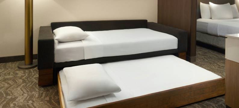 亚特兰大六旗游乐园万豪SpringHill酒店(SpringHill Suites Atlanta Six Flags)图片