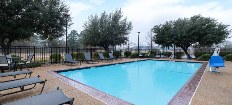 Garner Hotel Longview South by IHG图片