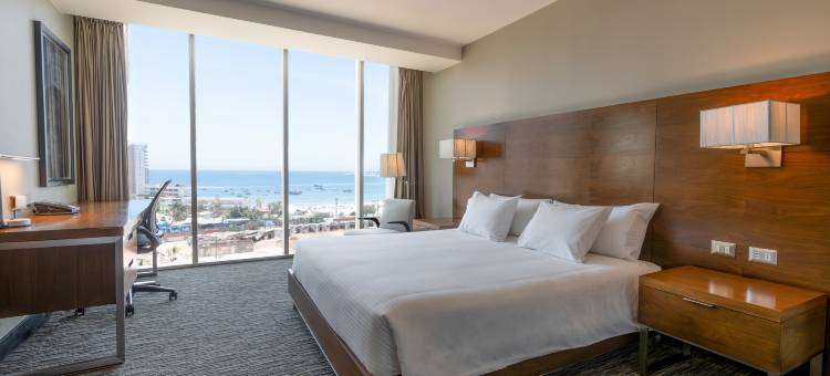 希尔顿花园伊基克酒店(Hilton Garden Inn Iquique)图片