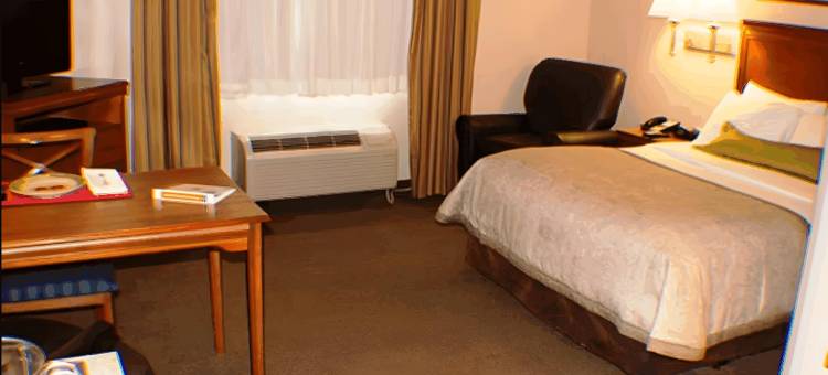 Candlewood Suites 杰克森维尔(Candlewood Suites Jacksonville)图片