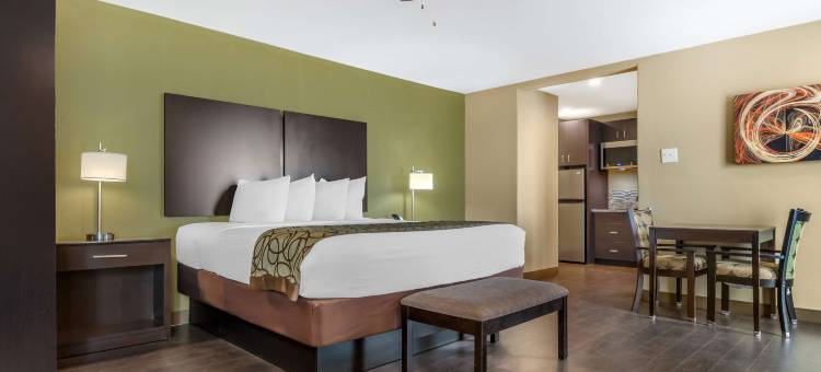 贝斯特韦斯特海岛酒店(Best Western Padre Island)图片