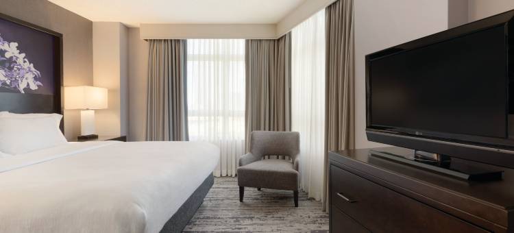 亚特兰大希尔顿大使套房酒店-百年奥林匹克公园(Embassy Suites by Hilton Atlanta at Centennial Olympic Park)图片