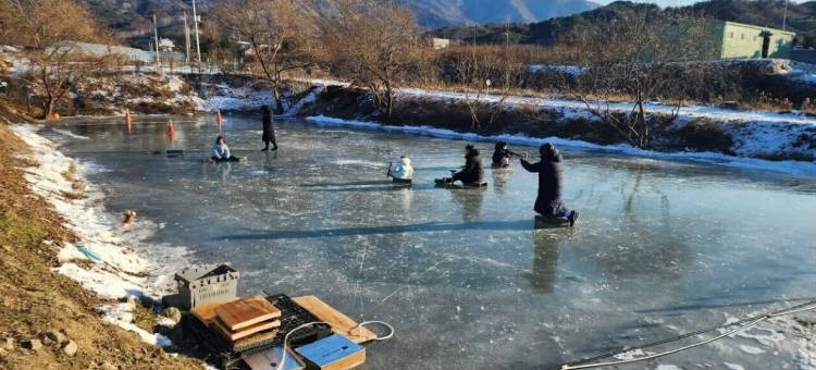 抱川约翰卡拉班豪华露营(Pocheon the John Kara Ban Glamping)图片