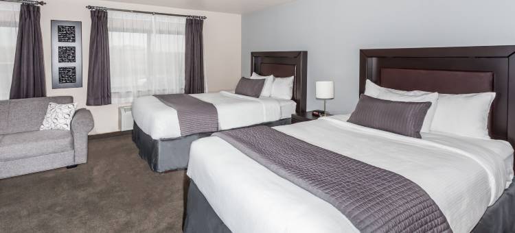 Baymont by Wyndham Glenview图片