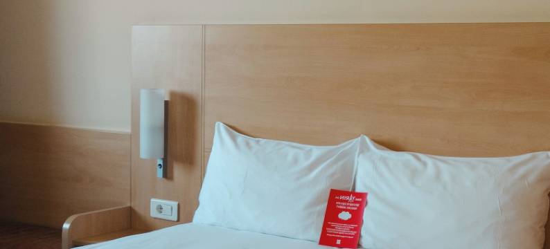 宜必思阿达那酒店(Ibis Adana)图片