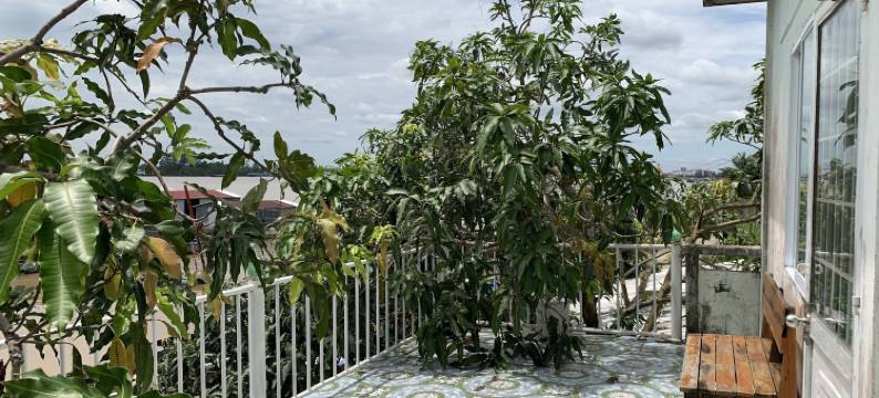 岛居家宿(Island Homestay)图片