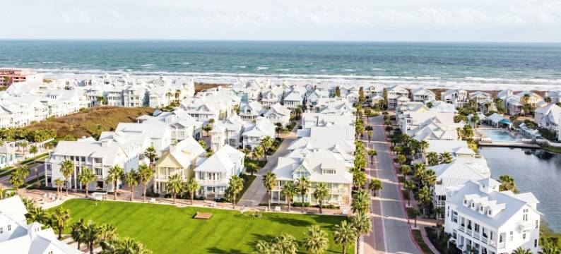 蓝枪鱼TC 3105(Blue Marlin TC 3105)图片