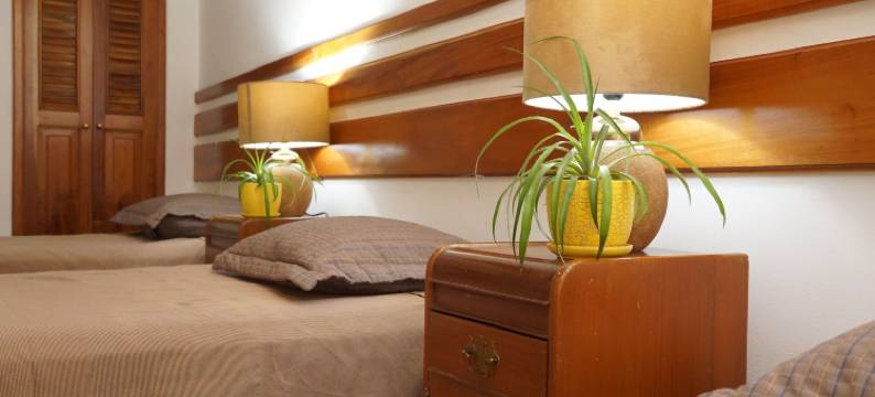 树屋酒店(Hotel Casa del Arbol)图片