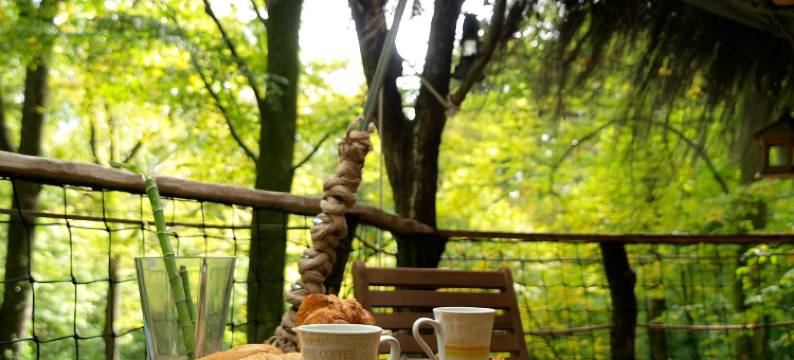 阿尔布雷卡巴内酒店(L'Arbre à Cabane)图片