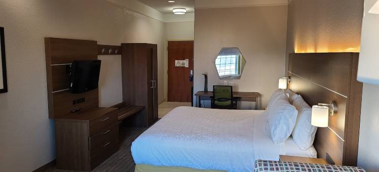 智选假日套房酒店加尔维斯顿西海堤(Holiday Inn Express & Suites Galveston West-Seawall)图片