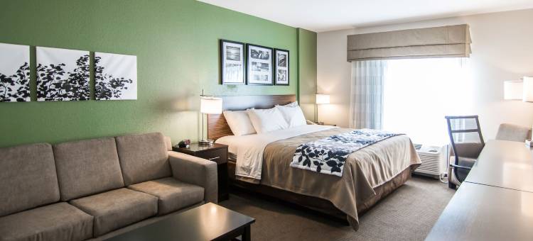 安眠套房酒店及会议中心(Sleep Inn & Suites Garden City)图片