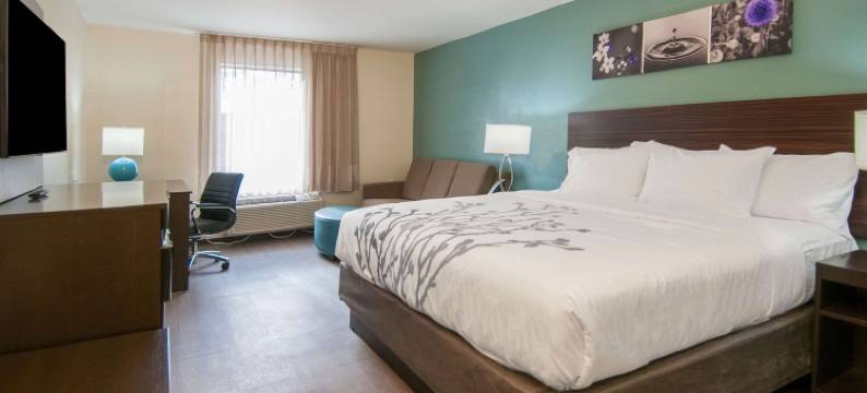 舒眠套房酒店(Sleep Inn & Suites)图片