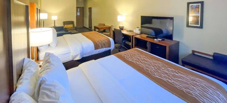 城中舒适套房酒店(Comfort Inn & Suites Midtown)图片