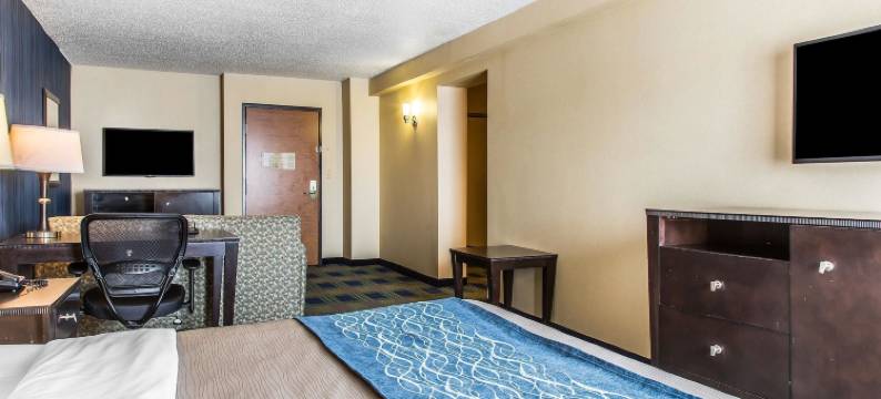 舒适套房酒店(Comfort Inn & Suites)图片