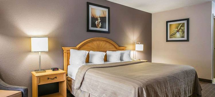 凯艺酒店(Quality Inn)图片