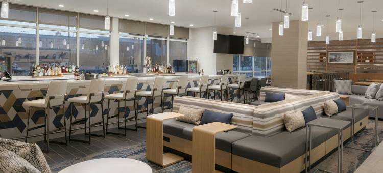 万豪斯泊林山套房酒店 - 坦帕布兰登(SpringHill Suites Tampa Downtown)图片