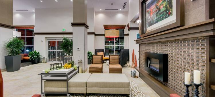 北休斯敦斯普林希尔顿花园酒店(Hilton Garden Inn North Houston/Spring)图片