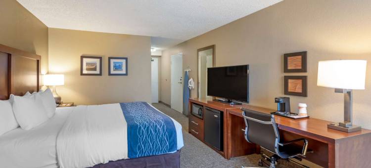 伊丽莎白城大学附近舒适酒店(Comfort Inn Elizabeth City Near University)图片