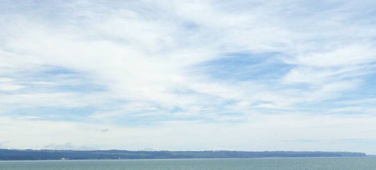 纳皮尔海滨港景住宿酒店(Harbour View Motel on Ahuriri Beach in Napier NZ with Sea View Suites)图片