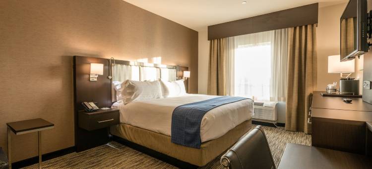 Holiday Inn 奥斯汀(Holiday Inn AUSTIN AIRPORT by IHG)图片