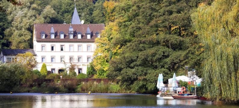 普法勒兹瓦德酒店(Hotel Pfälzer Wald)图片