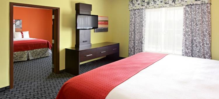 Holiday Inn 花环(Holiday Inn Dallas - Garland)图片