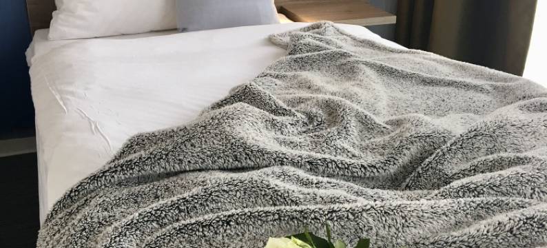 艺术城市酒店(StadtHotel Arte)图片