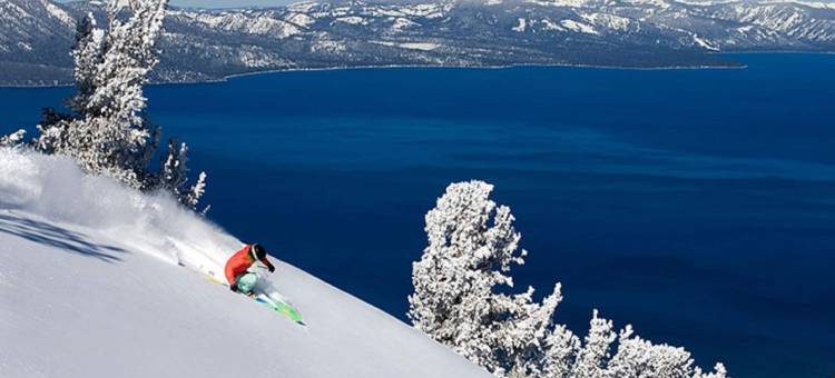 天堂村区伊克诺套房酒店(Econo Lodge Inn & Suites Heavenly Village Area)图片