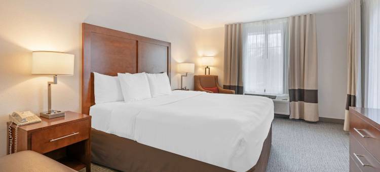 咆哮叉河卡本戴尔舒适套房酒店(Comfort Inn & Suites Carbondale on the Roaring Fork)图片