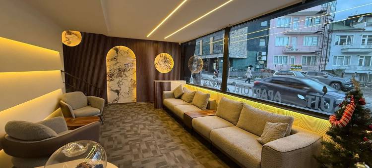 家庭套房公寓酒店(Home Suit apart otel)图片