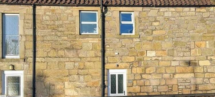 蜜蜂的独栋公寓(Bees Townhouse- Cupar)图片