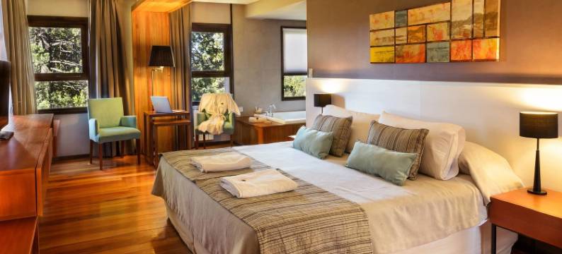 纳乌艾尔乌森林 Spa 精品酒店(Boutique Hotel & Spa Bosque del Nahuel)图片