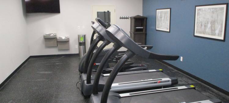 贝斯特韦斯特优质威尔斯波因特酒店(Best Western Plus Wills Point)图片