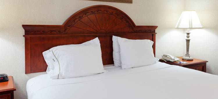 智选假日套房酒店图珀洛(Holiday Inn Express & Suites TUPELO by IHG)图片