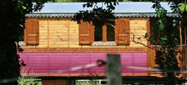 马车与马匹(Une Roulotte et des Chevaux)图片